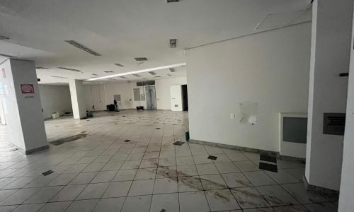 WhatsApp Image 2025-02-19 at 16.21.47 (1)