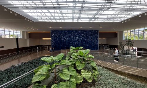 c81850fe-4d0b-42b5-bd05-ef774b0c92b2